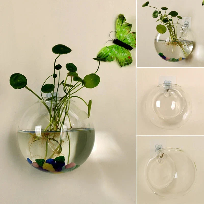 Avelena | AeroVase - Hydrologische Glasdekoration