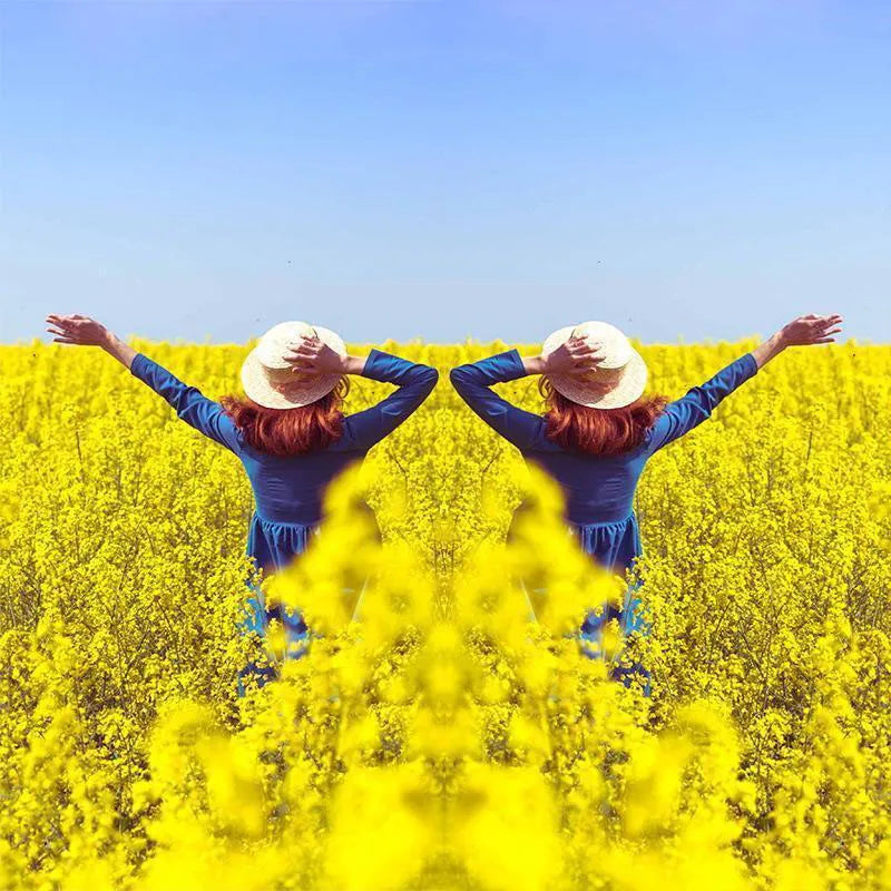 Avelena | SpiegelSnap Perfekte Symmetrie-Aufnahmen