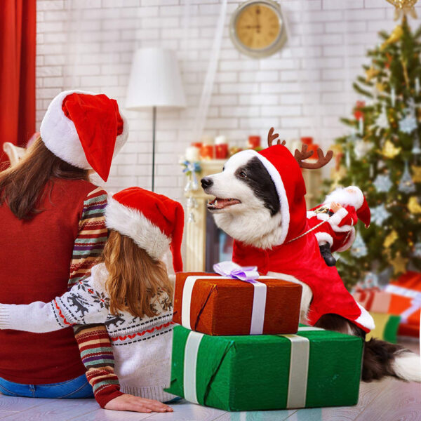 Avelena | WeihnachtsmannPfote Feiertagsstimmung für Haustiere