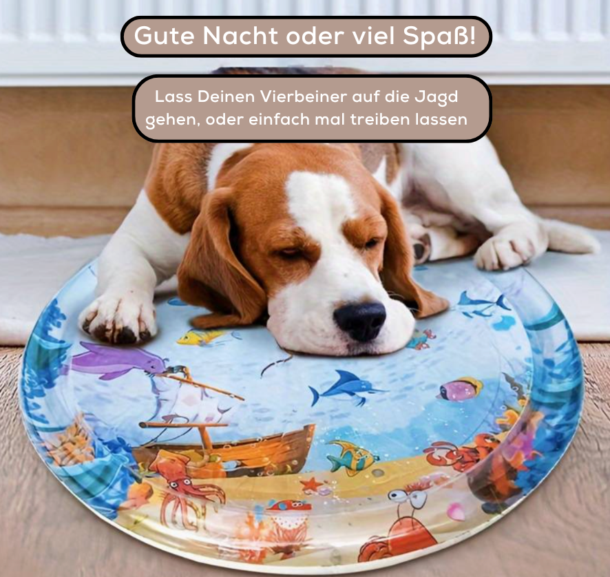 Avelena | SensorischerRitt Fahren Lernen Spielen