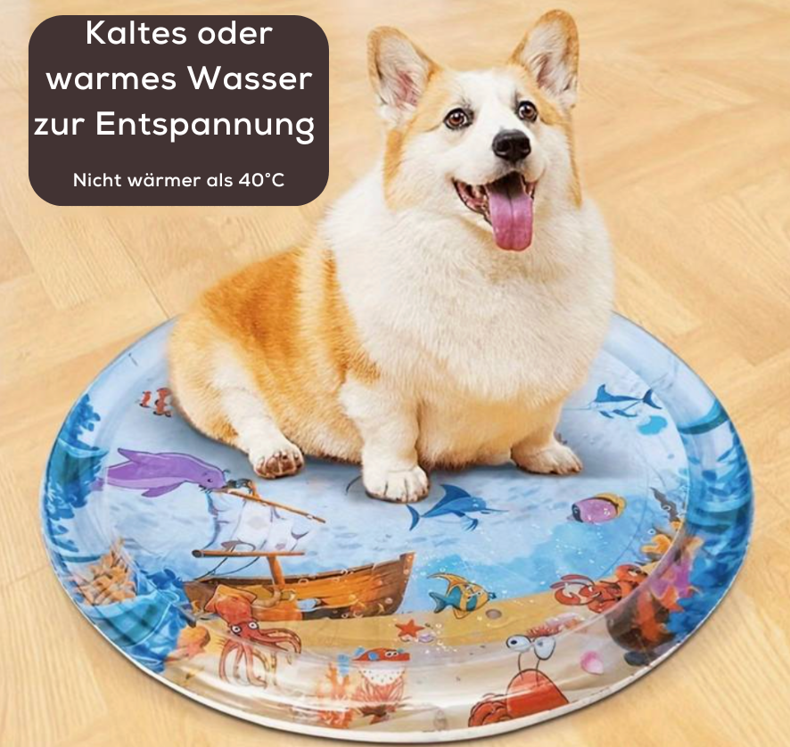Avelena | SensorischerRitt Fahren Lernen Spielen