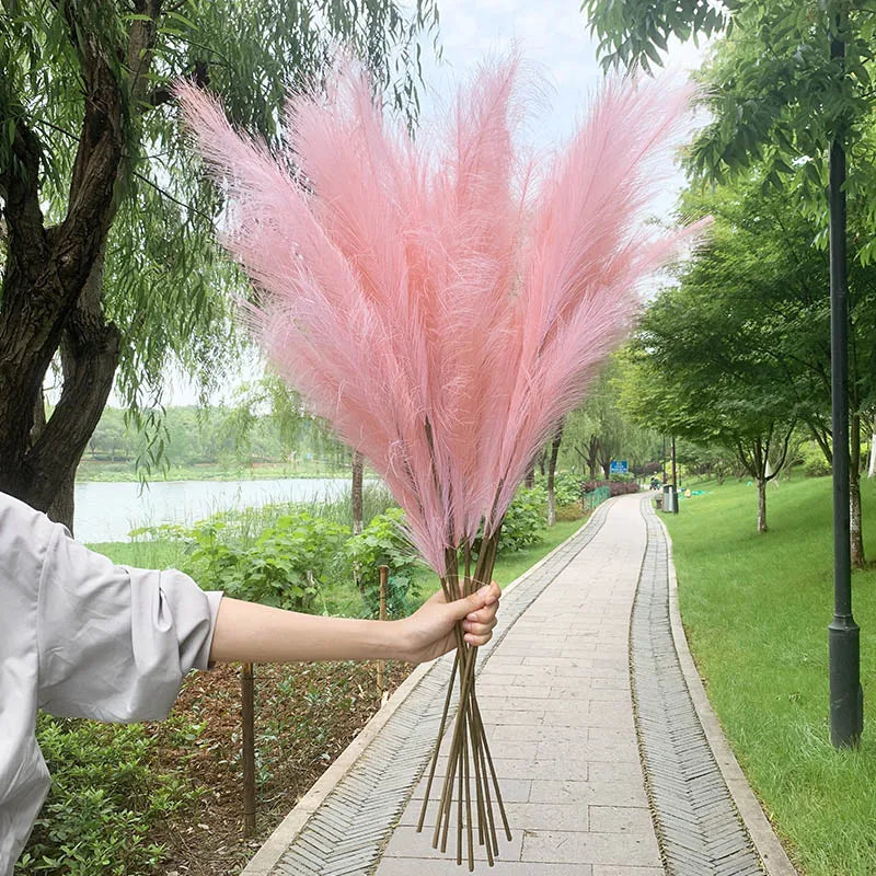 Avelena | 5 Stück 100 cm Künstliches Pampasgras Trockenrohr Blumenstrauß Hochzeitsfeier Dekoration Zuhause Raum DIY Künstliche Pflanzen Dekorationsbedarf