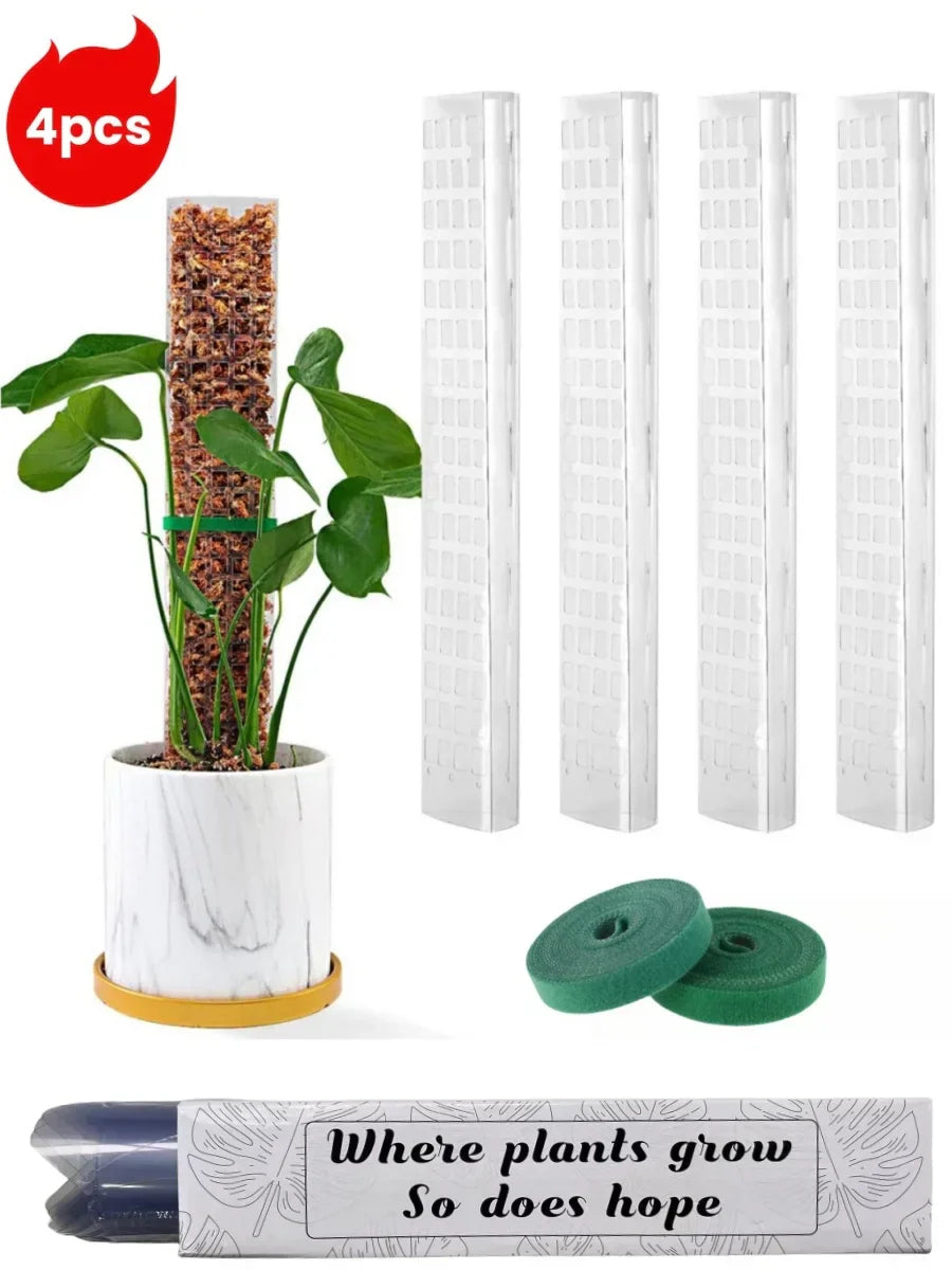 Avelena | Vertilo Moosstab Set | Transparent & Wiederverwendbar | Für Monstera & Co. | 30–60 cm