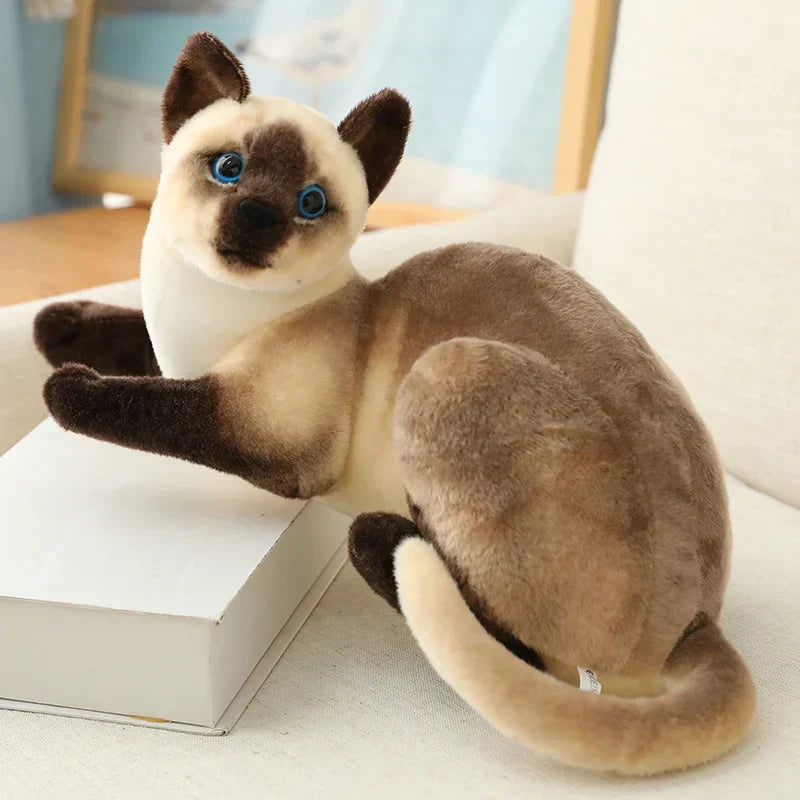 Avelena | Siamkatze Plüsch – Luxus Weiches Katzenspielzeug