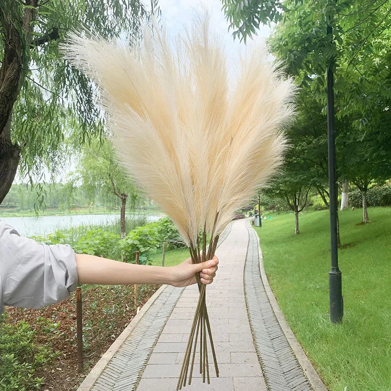 Avelena | 5 Stück 100 cm Künstliches Pampasgras Trockenrohr Blumenstrauß Hochzeitsfeier Dekoration Zuhause Raum DIY Künstliche Pflanzen Dekorationsbedarf