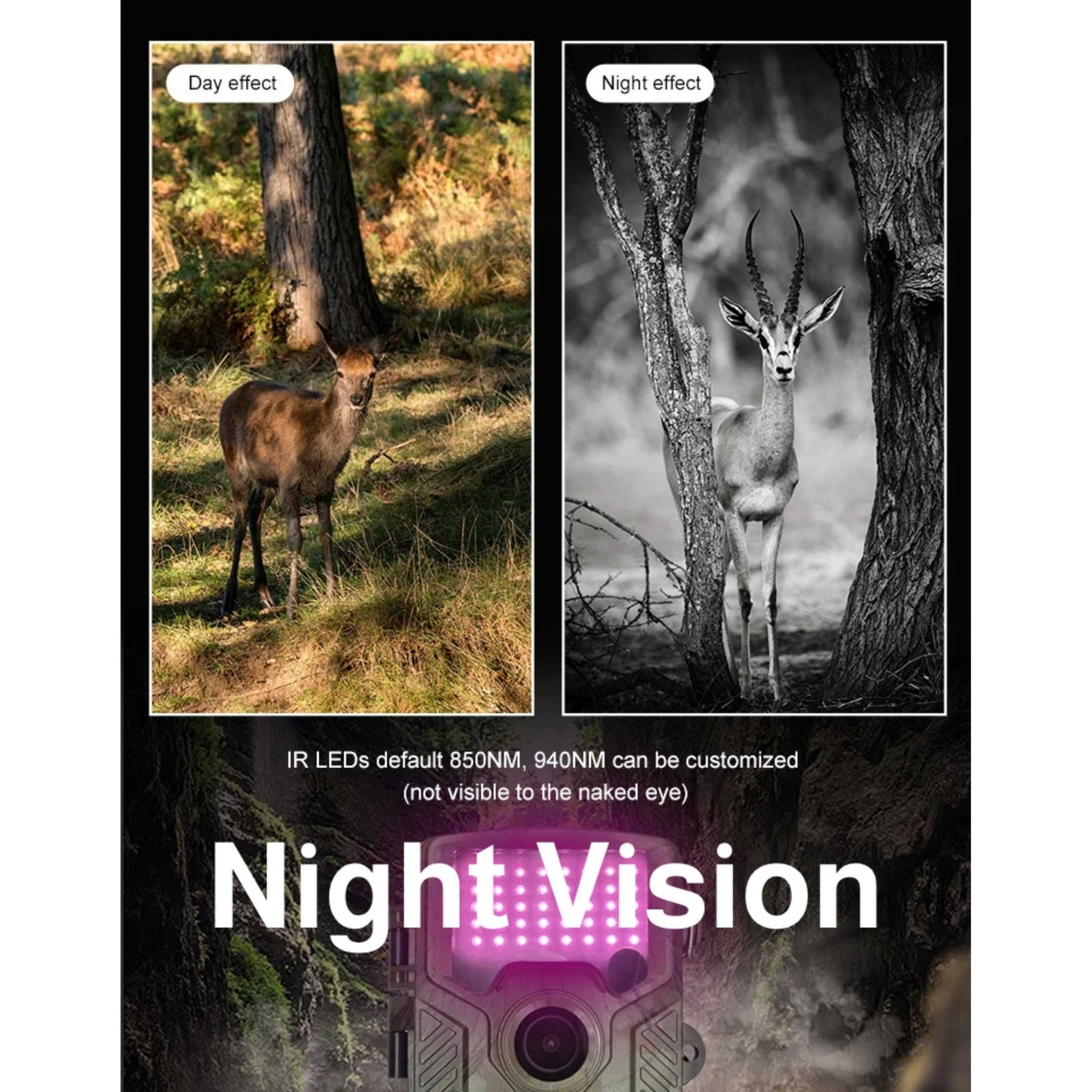 Avelena | WildVision | Wildkamera – Schnelle Aktivierung & Scharfe Bildqualität