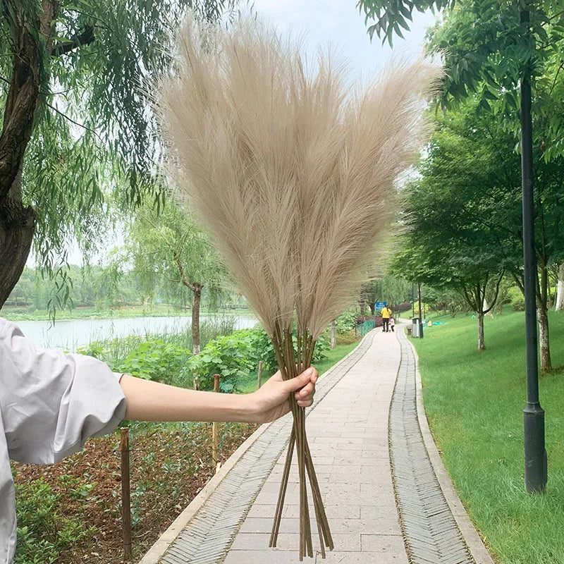 Avelena | 5 Stück 100 cm Künstliches Pampasgras Trockenrohr Blumenstrauß Hochzeitsfeier Dekoration Zuhause Raum DIY Künstliche Pflanzen Dekorationsbedarf