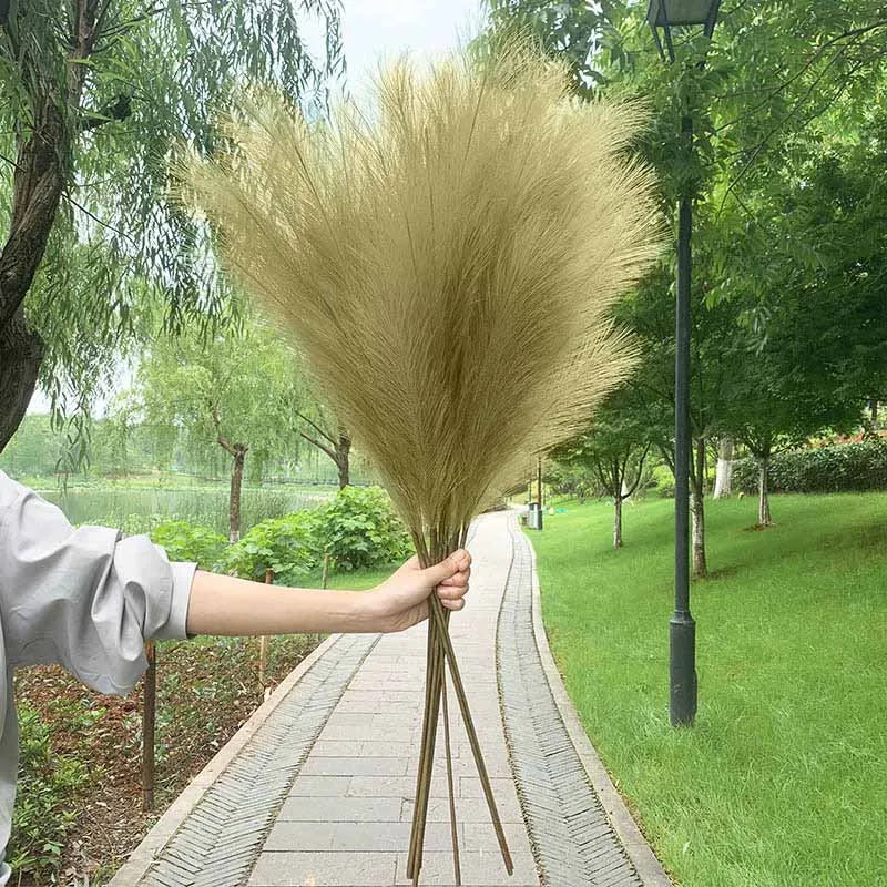 Avelena | 5 Stück 100 cm Künstliches Pampasgras Trockenrohr Blumenstrauß Hochzeitsfeier Dekoration Zuhause Raum DIY Künstliche Pflanzen Dekorationsbedarf