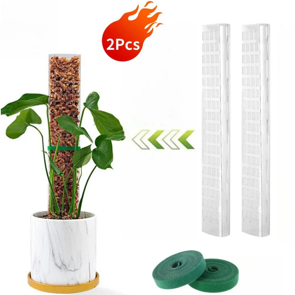 Avelena | Vertilo Moosstab Set | Transparent & Wiederverwendbar | Für Monstera & Co. | 30–60 cm