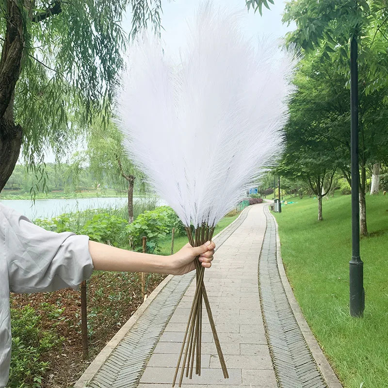 Avelena | 5 Stück 100 cm Künstliches Pampasgras Trockenrohr Blumenstrauß Hochzeitsfeier Dekoration Zuhause Raum DIY Künstliche Pflanzen Dekorationsbedarf