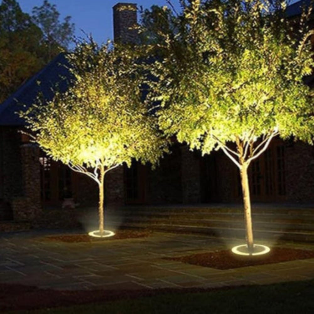 Avelena | Treelighta – Premium LED Baum-Spotlicht für elegante Außenbeleuchtung