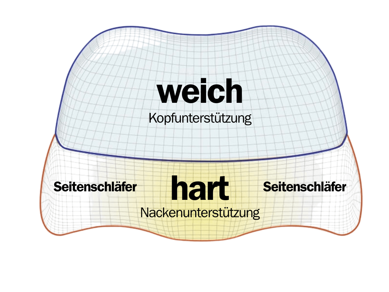 Avelena | ReliefSpange Nackenstütze & Nackenschmerzlinderung