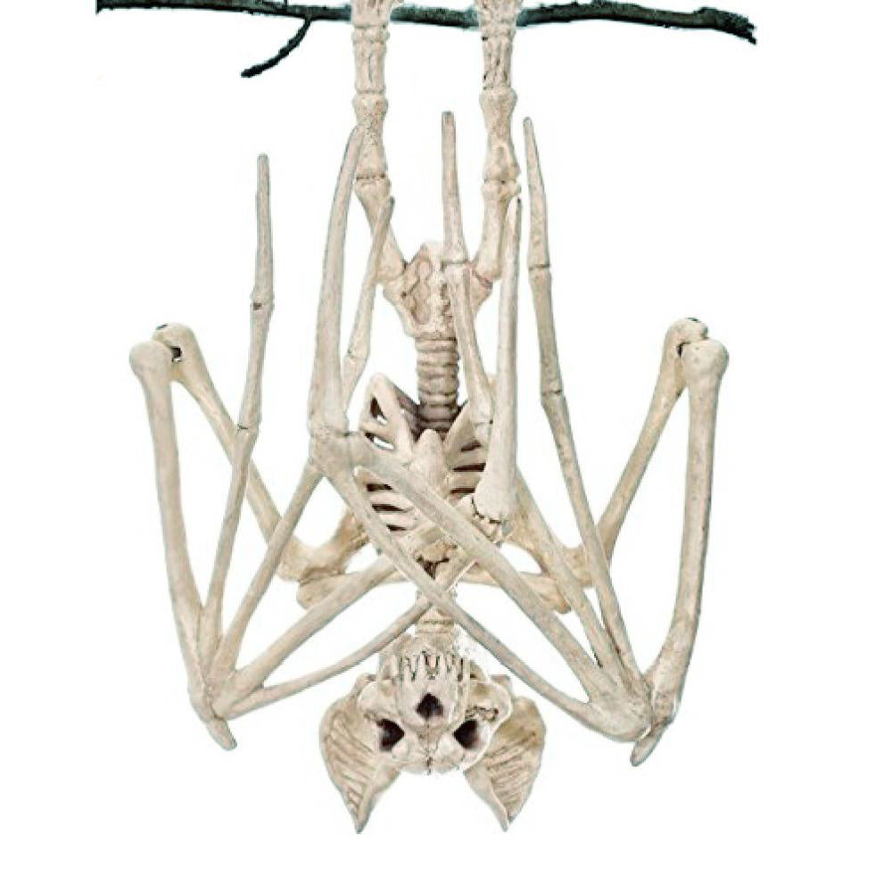 Avelena | SpookySkeleton – Gothische Wandkunst Hängedekoration für Halloween