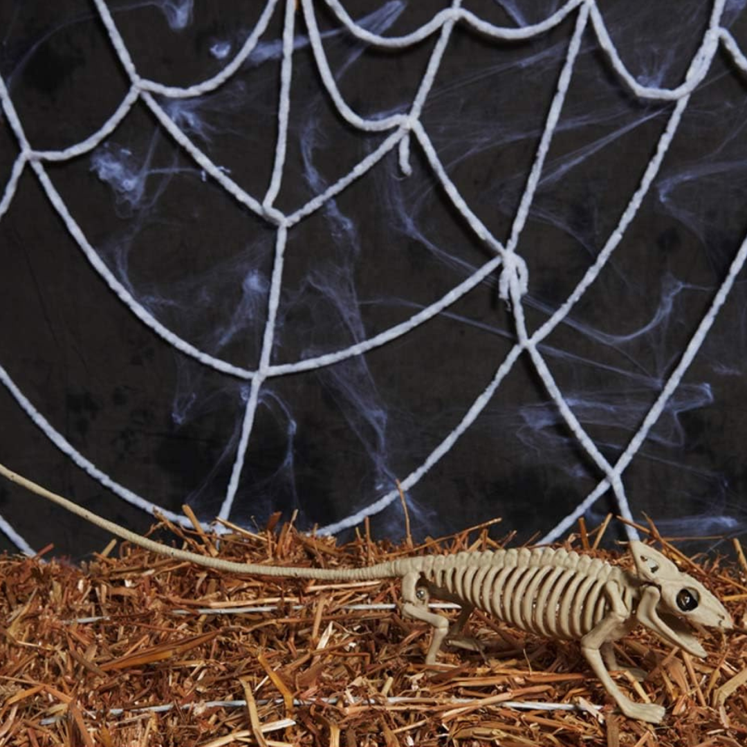 Avelena | SpookySkeleton – Gothische Wandkunst Hängedekoration für Halloween
