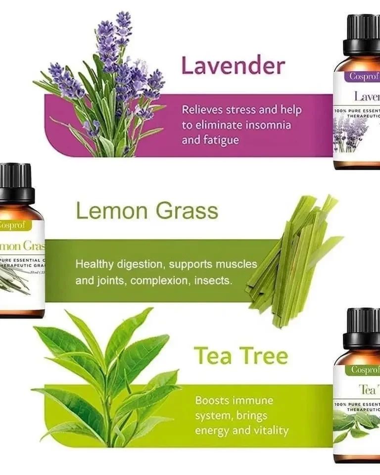 Avelena | Set Of 12 Pure Essential Oils Gift Set