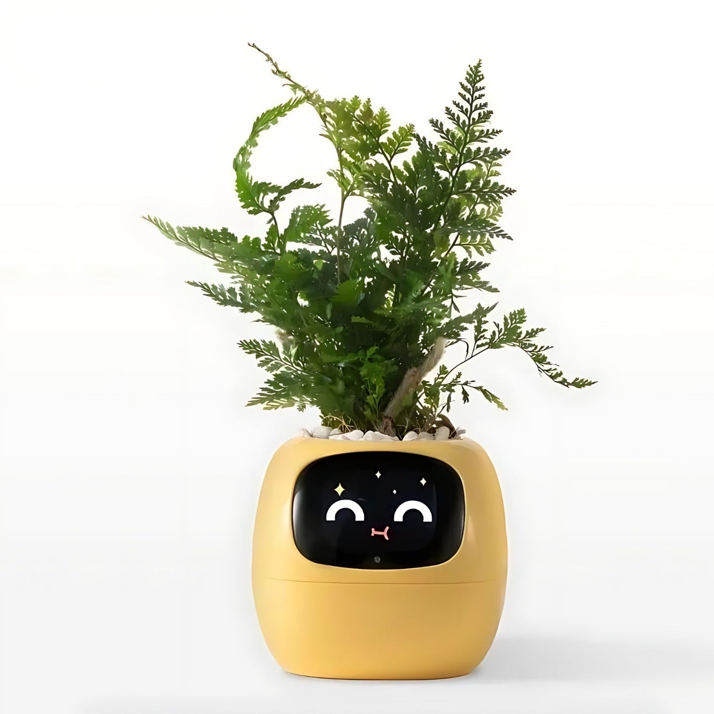 Avelena | Automatischer smarter Blumentopf - GreenBuddy SmartPot