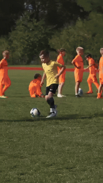 Avelena | SpielFeld Erweiterter Technik-Assistent