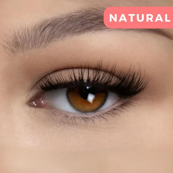 Avelena | Wimpernmagnet Einfache magnetische Anwendung