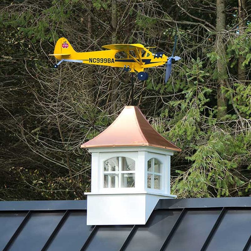 Avelena | Wetterfahne zum Fliegen🚁