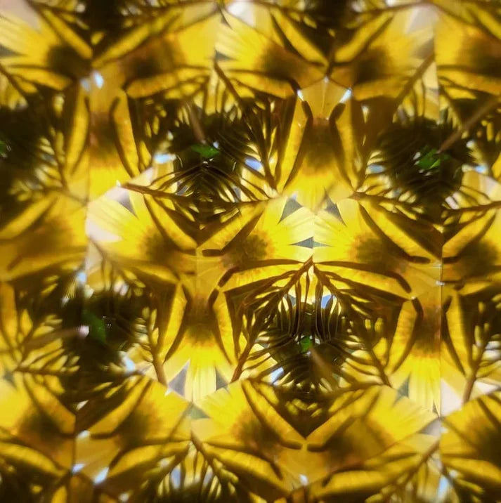Avelena | Waldwunder Kaleidoskop