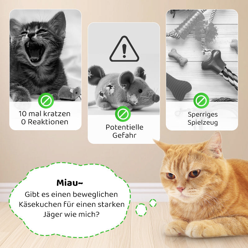 Avelena | CatPlay – Jagen, spielen, juchzen – der Spaß für deine Katze!