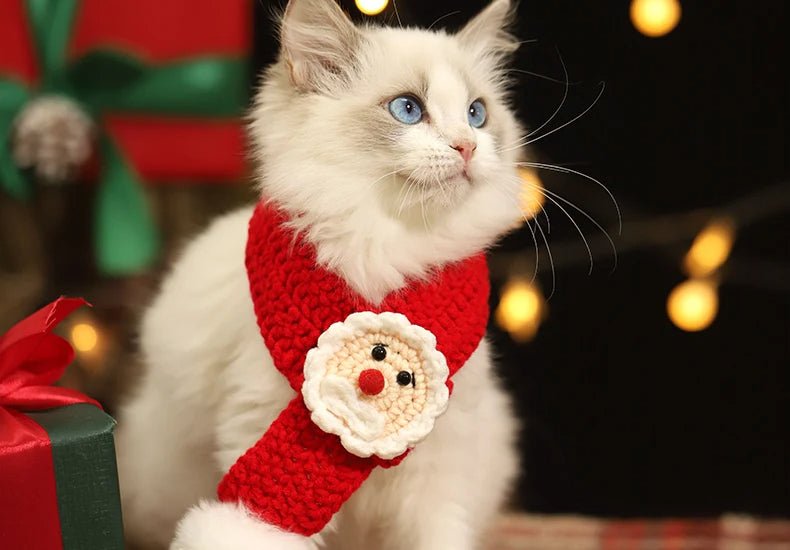 Avelena | Weihnachts-Haustier-Schal & Hut – Niedlicher roter Schal für Kätzchen & Welpen, Perfektes Weihnachtsgeschenk & Festliches Accessoire