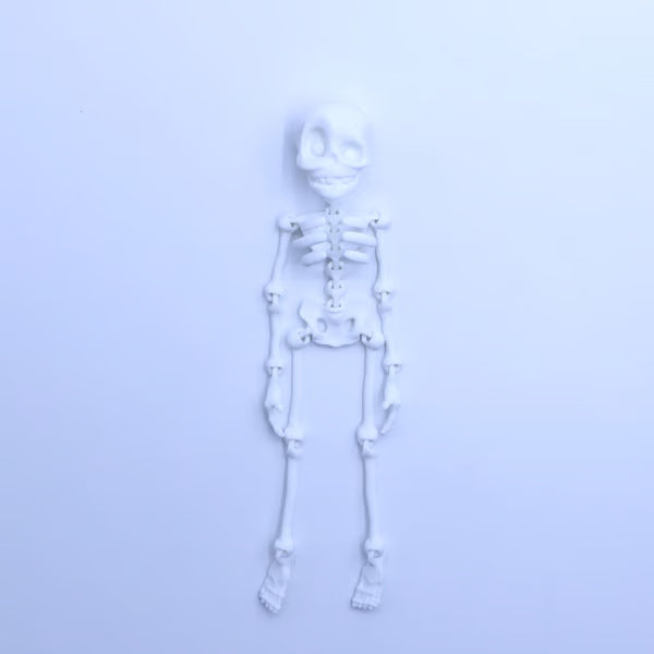 Avelena | 3D-gedruckte Vintage-Skelett-Magnetfigur 🎃