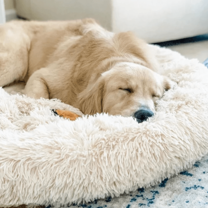 Avelena | Runder Plüsch Beruhigender Donut Hundebett für kleine bis große Hunde