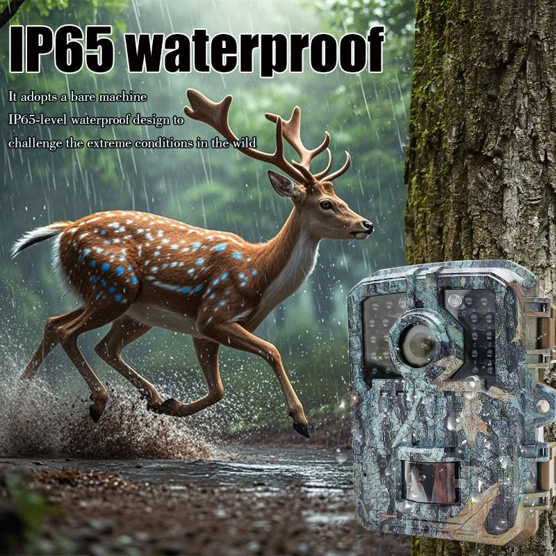 Avelena | Mini 16MP Nachtsicht Trailkamera mit PIR-Bewegungsverfolgung