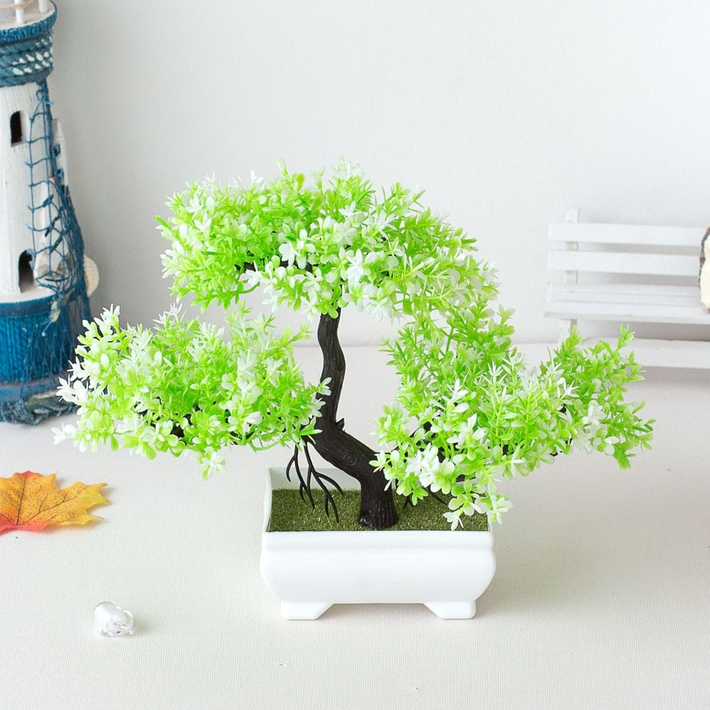 Avelena | Pflanzen Bonsai