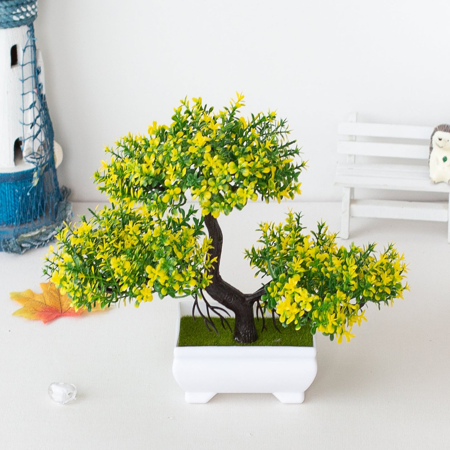 Avelena | Pflanzen Bonsai