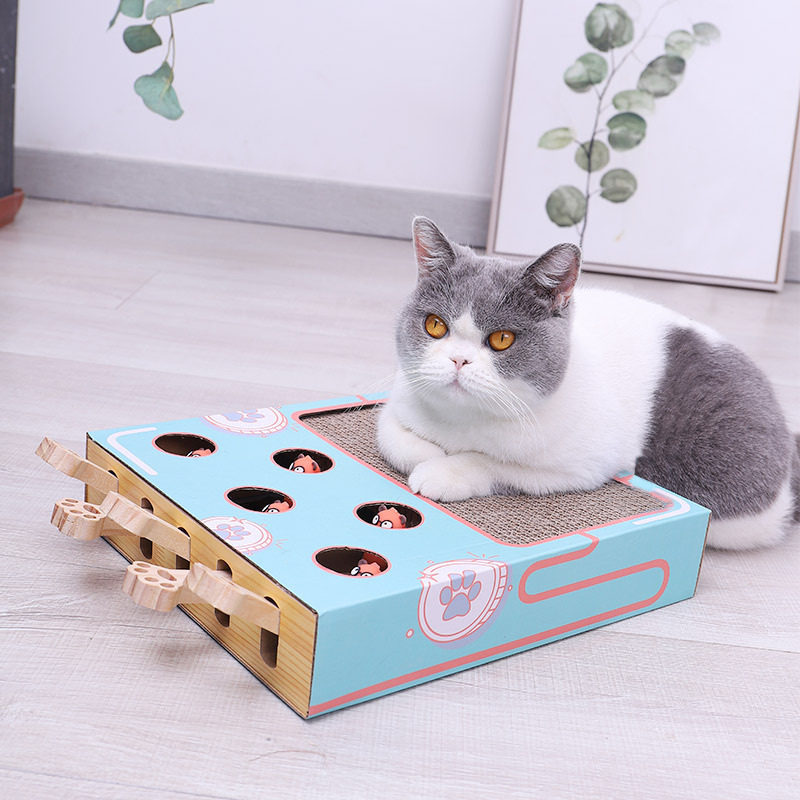 Avelena | ScratchNest – Kratzen, Spielen & Chillen an einem Ort!