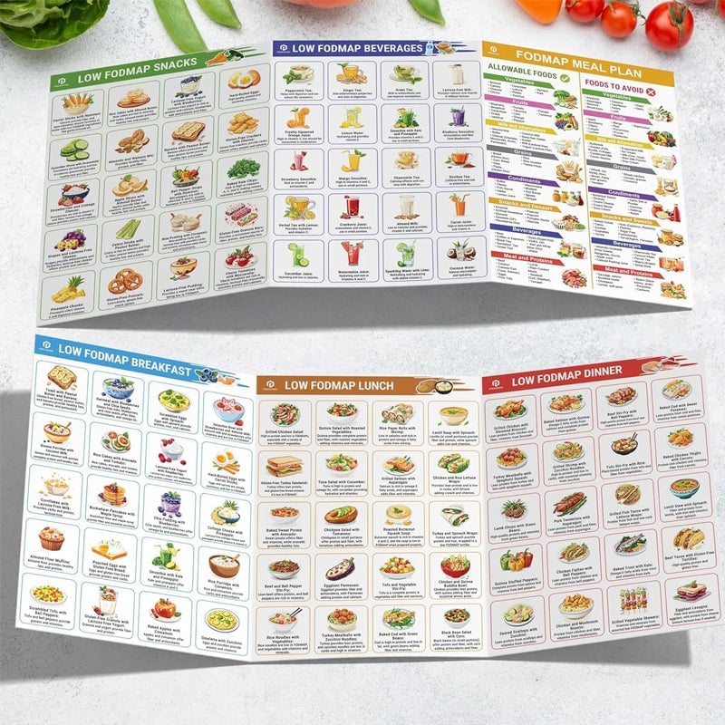 Avelena | Set aus 2 Fodmap-DiagrammenIBS-Symptomlindernde Lebensmittel-Liste