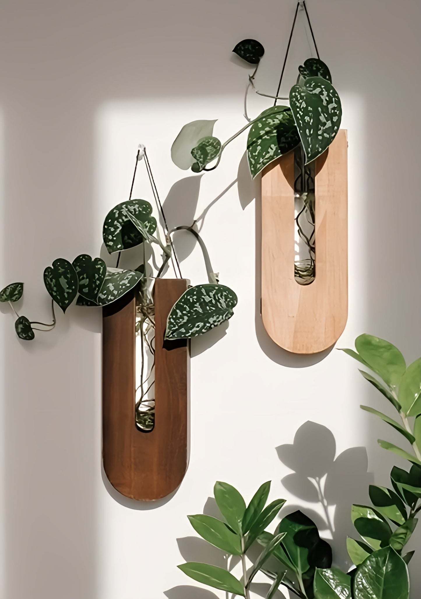 Avelena | WoodFlora | Rustikales Holz Wandblumenhalter Set – Kreative Pflanzenpräsentation für Innenräume