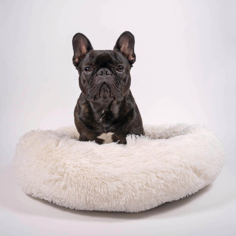 Avelena | Runder Plüsch Beruhigender Donut Hundebett für kleine bis große Hunde