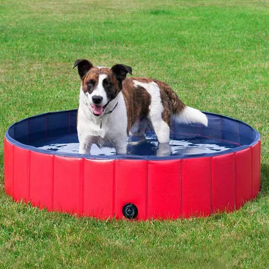 Avelena | Zusammenklappbarer Hundepool