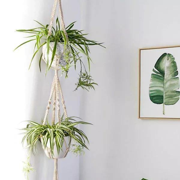 Avelena | 4-teiliges handgefertigtes Boho-Makramee-Pflanzenhänger-Set