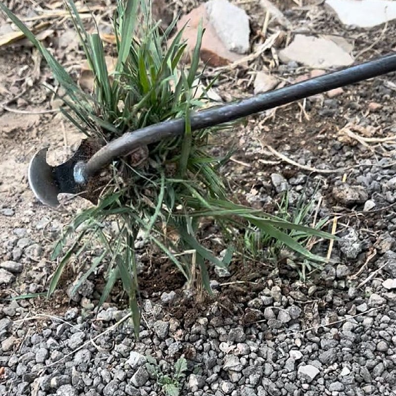 Avelena | WeedVernicht Langlebiges Unkrautzieher-Werkzeug
