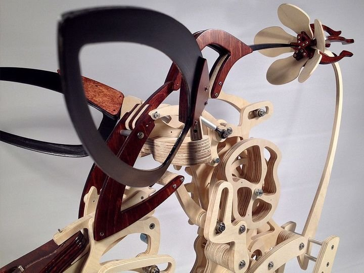 Avelena | 3D Holz Mechanische Kolibri und Holz Mechanische Schildkröte