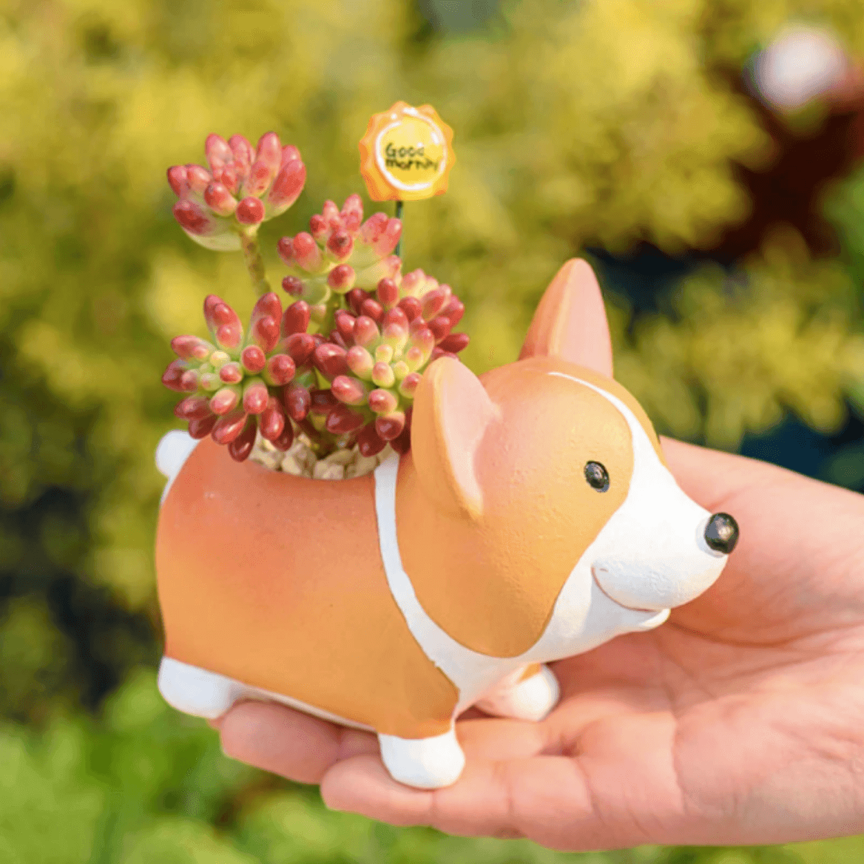 Avelena | Resin Corgi Mini Blumentopf