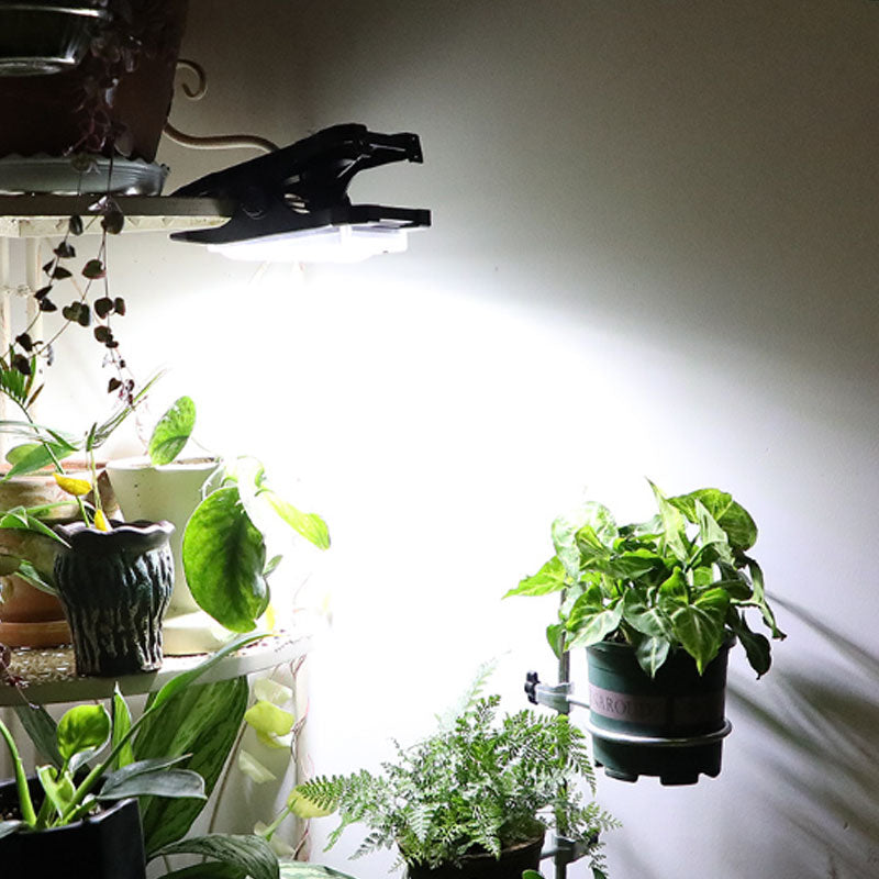 Avelena | Solar Outdoor Clip Licht mit Bewegungssensor