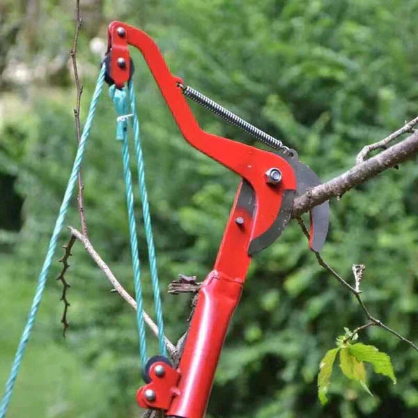 Avelena | TreeSnip – Gefahrloses Schneiden hoher Äste vom Boden