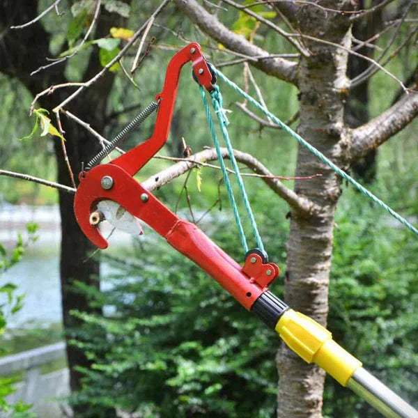 Avelena | TreeSnip – Gefahrloses Schneiden hoher Äste vom Boden