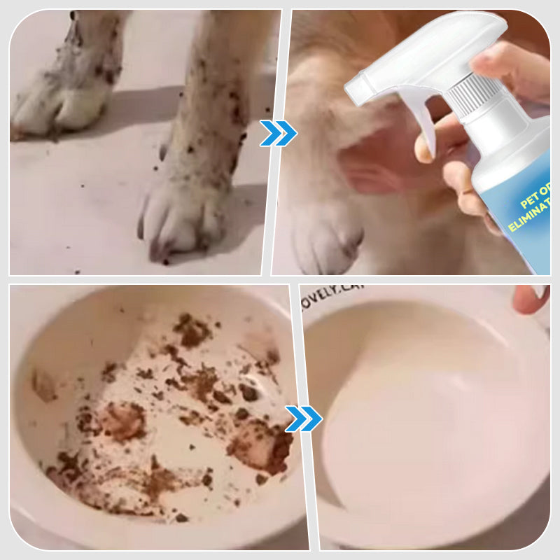 Avelena | 🐱🐶Spray zur Beseitigung von Haustiergeruch🍃