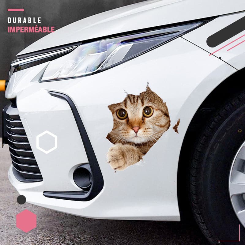 Avelena | 3D-Aufkleber mit Katzen und Hunden, die entfernt werden können