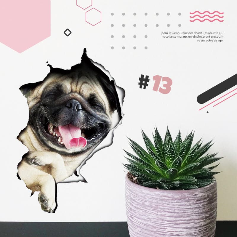 Avelena | 3D-Aufkleber mit Katzen und Hunden, die entfernt werden können