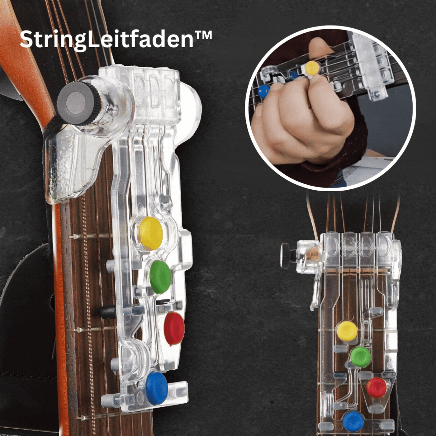 Avelena | StringLeitfaden Master Guitar Basics