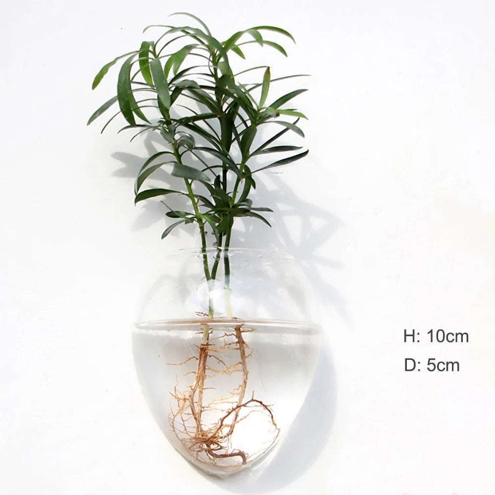 Avelena | Wandvase aus Glas