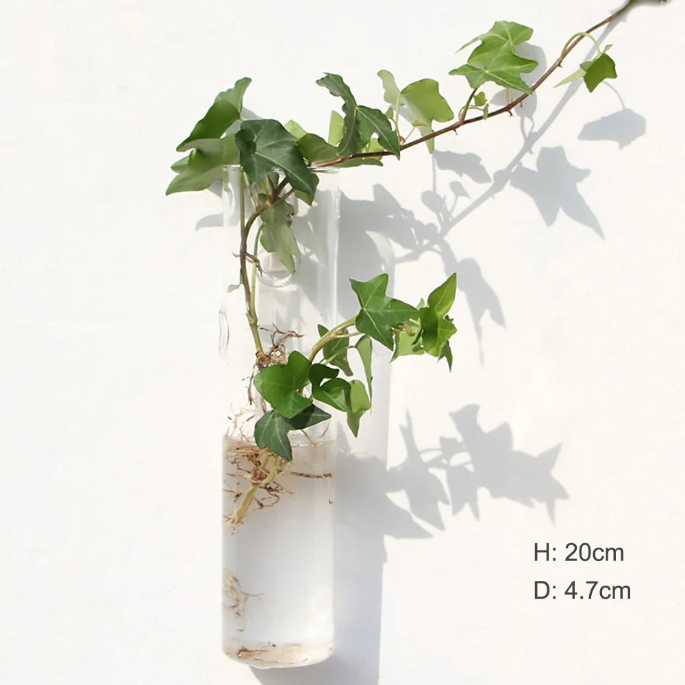 Avelena | Wandvase aus Glas