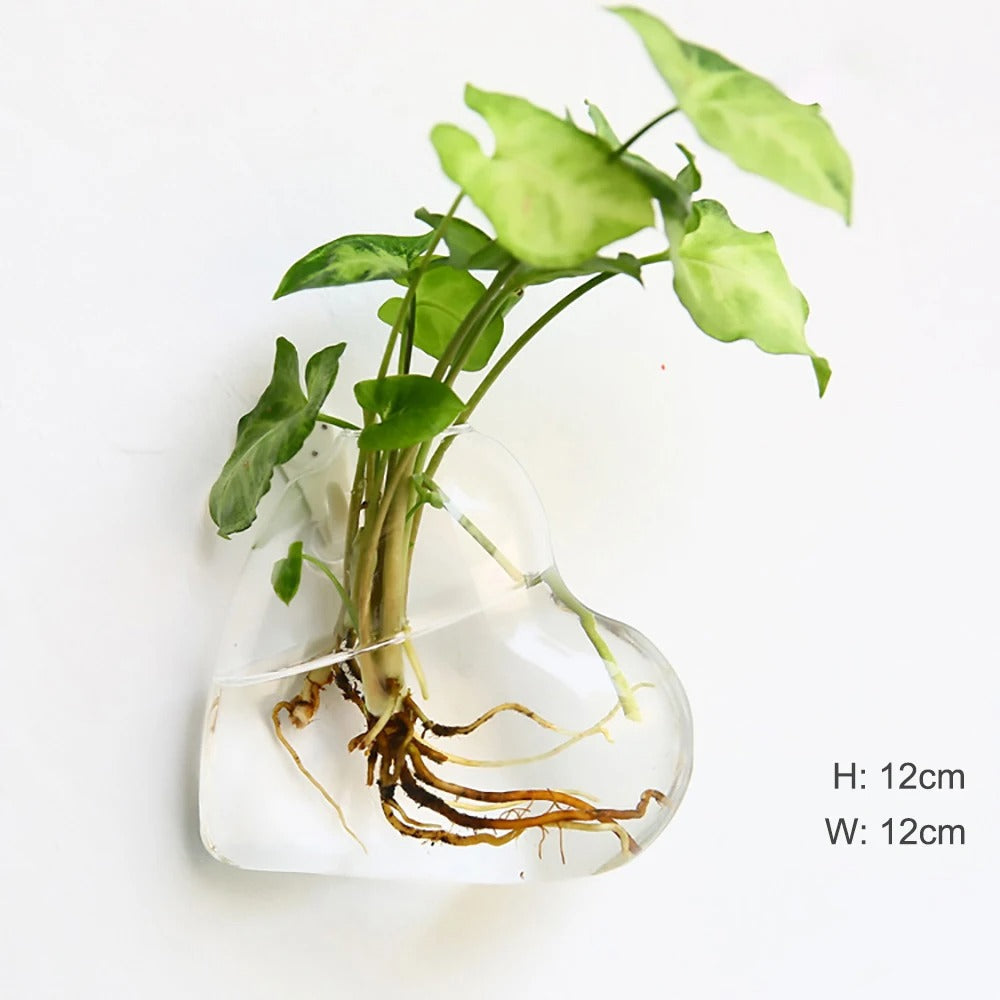 Avelena | Wandvase aus Glas